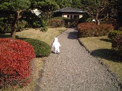 安田庭園 安田庭園